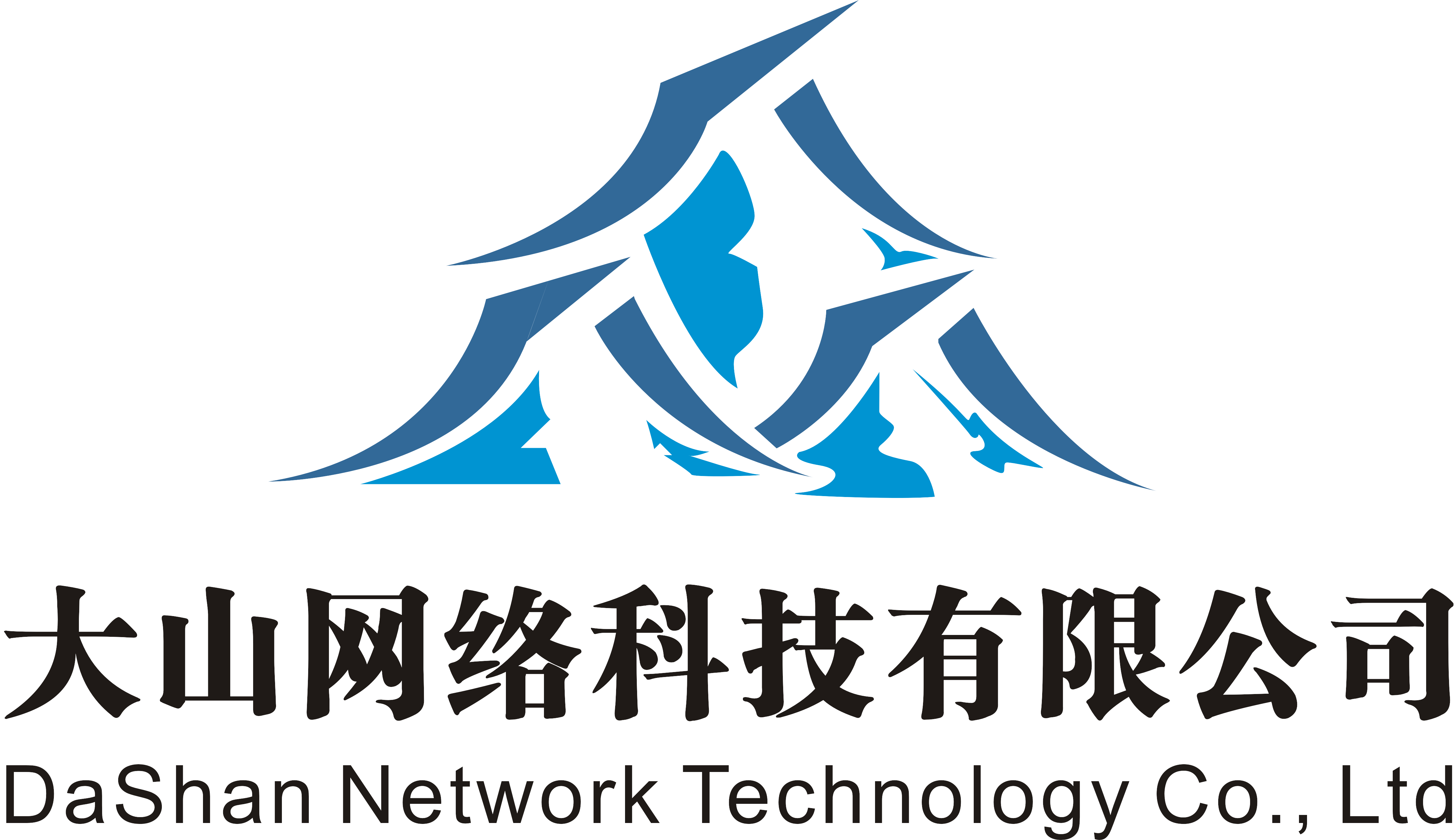 湛江大山网络科技，微信小程序定制开发，网站建设